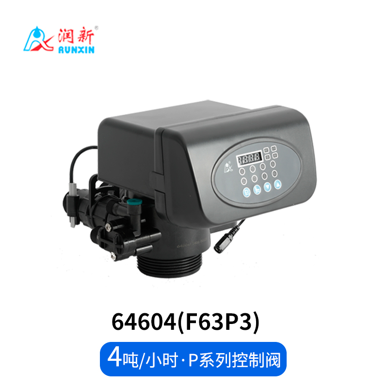 P系列軟化閥64504(F63P1)  64604(F63P3)